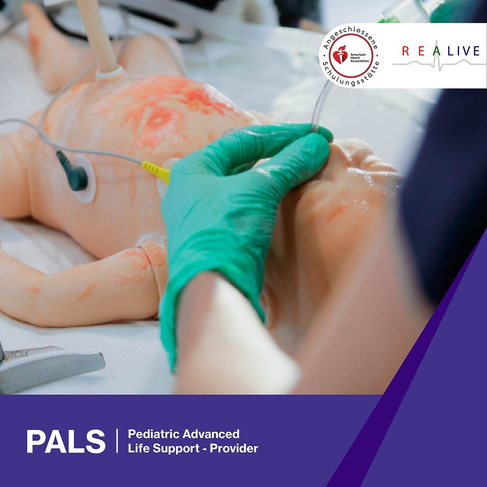 ReAlive-PALS-v5-JS ReAlive-PALS-v5-JS