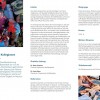 NA_Kurs_OG2025_2