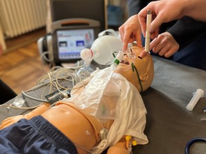 PALS-Kurs_Querformat