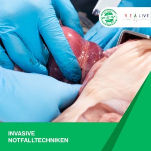 DGINA_ReAlive_INVT_v4_JS